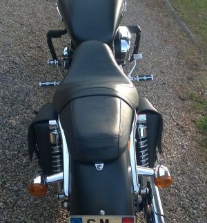 Sacoche Myleatherbikes Harley Sportster_73